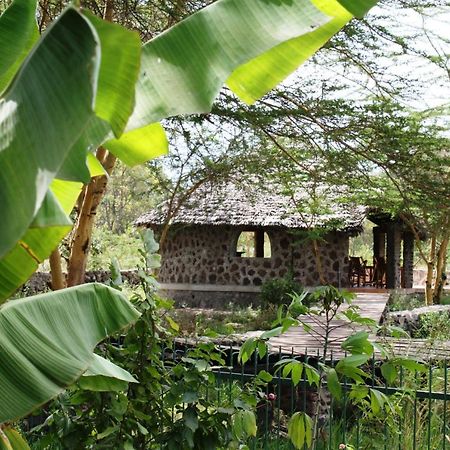 Kiboko Lodge Usa River エクステリア 写真