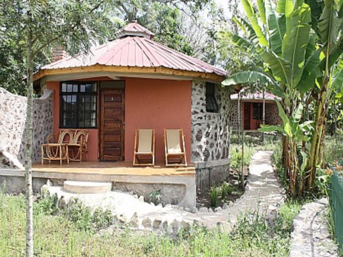 Kiboko Lodge Usa River 部屋 写真