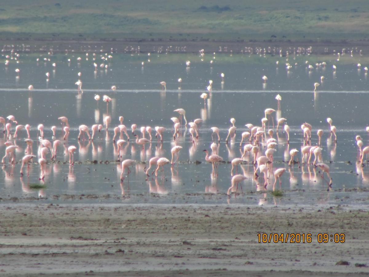 Kiboko Lodge Usa River エクステリア 写真