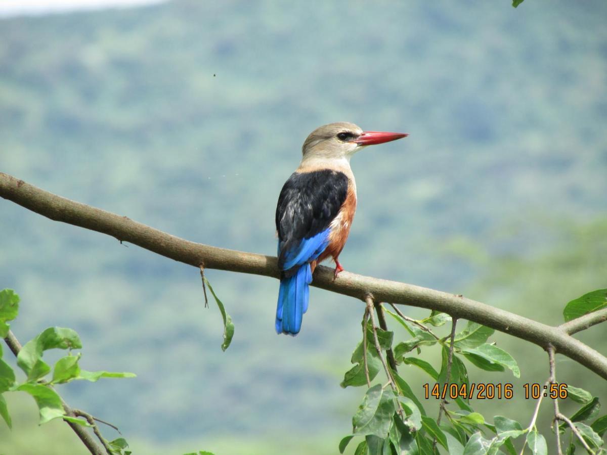 Kiboko Lodge Usa River エクステリア 写真