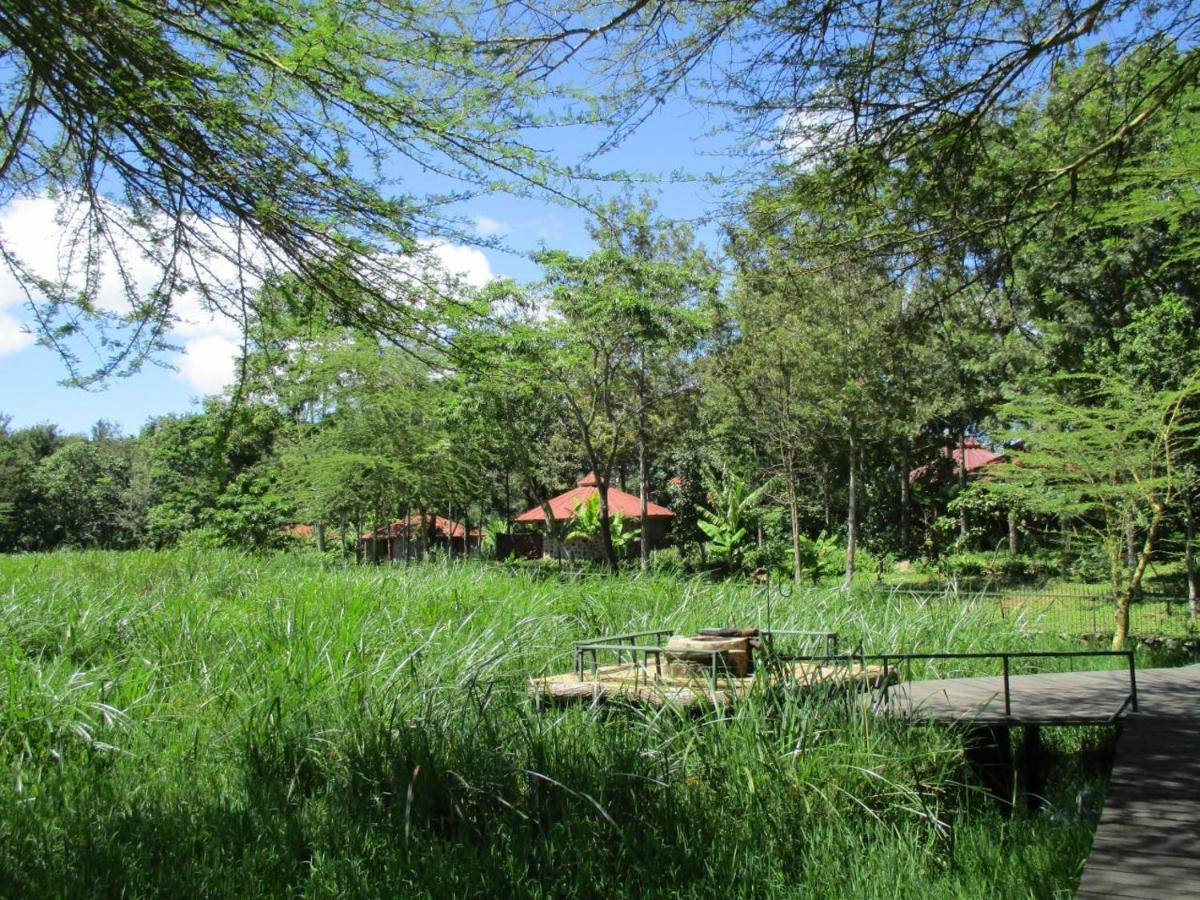 Kiboko Lodge Usa River エクステリア 写真